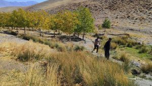 تشکیل پروندهقضایی در رابطه با تخریب و تصرف اراضیملی ملایر