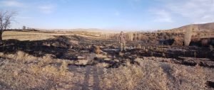 در حریق گسترده روستای اردکلو، مراتع و اراضی ملی در امان مانده است