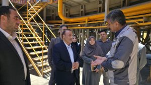 بررسی میدانی موانع موجود در مسیر تولید واحدهای صنعتی ملایر