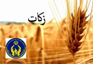 نقش زکات در ریشه کنی فقر / ملایر جزء مناطق پیشرو در جمع‌آوری زکات