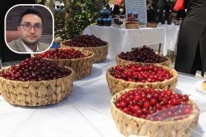 به همت شهرداری و شورای اسلامی شهر زنگنه برگزار می‌شود: چهارمین جشنواره “آلبالو” در دیار کریم‌خان‌زند