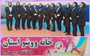 دختران ووشوکار ملایری بر بلندای سکوی قهرمانی مسابقات ووشو استان