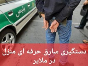 دستگیری ۱۲ نفر متهم در اجرای طرح امنیت محله‌محور