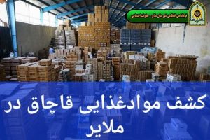 کشف محموله موادغذایی قاچاق در ملایر