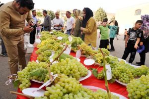 طعم شیرین دوزادهمین جشنواره خوشه برتر به کام ملایری‌ها