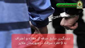 سارق مغازه‌های ملایر دستگیر شد