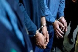 سارقان کش‌روزن در ملایر دستگیر شدند