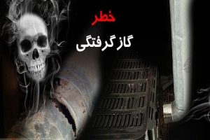 ” قاتل خاموش” باز در ملایر قربانی گرفت