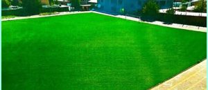 زمین چمن استادیوم تختی، بازسازی و احیا می‌شود