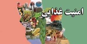 مدیر جهاد کشاورزی ملایر: تغییرات اقلیمی بر امنیت غذایی تأثیر می‌گذارد
