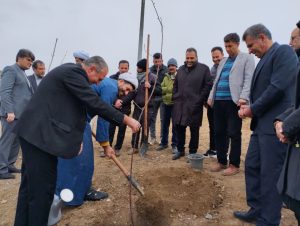 سرانه فضای سبز ملایر ۲۲ مترمربع است