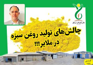 گزارش ویژه / قابل توجه مسئولین استانی و کشوری؛ چالش‌های تولید روغن سبزه در ملایر!!! / صنعت تولید روغن سبزه ملایر در بن‌بست قرائت‌های متفاوت از قانون؟!!! / تا چه وقت باید شاهد معضل سیاست یک بام و دو هوا باشیم؟