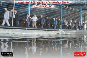 نخستین پروژه پرورش ماهی خاویار استان همدان در روستای زیرآبیه ملایر به بهره‌برداری رسید