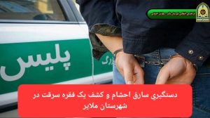 با تلاش پلیس ملایر انجام شد: دستگیری سارق احشام و کشف اموال مسروقه