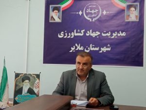 برای نخستین بار با هدف تصاحب بازارهای جهانی رقم خورد: کشت و تولید ۴۵ نوع از ارقام انگورهای داخلی و خارجی در باغات ملایر
