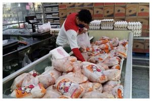 تا چند روز آینده تنش ایجاد شده در بازار مرغ از بین می‌رود/هرگونه گرانفروشی در بحث مرغ تخلف محسوب می‌شود