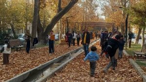 گذرگاه پاییز بلوار سیف‌الدوله ملایر؛ رویدادی برای پیوند هنر شهری با زیبایی‌های خزان