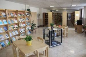 راه‌اندازی کتابخانه سیار در اولویت نهاد کتابخانه‌های عمومی قرار بگیرد