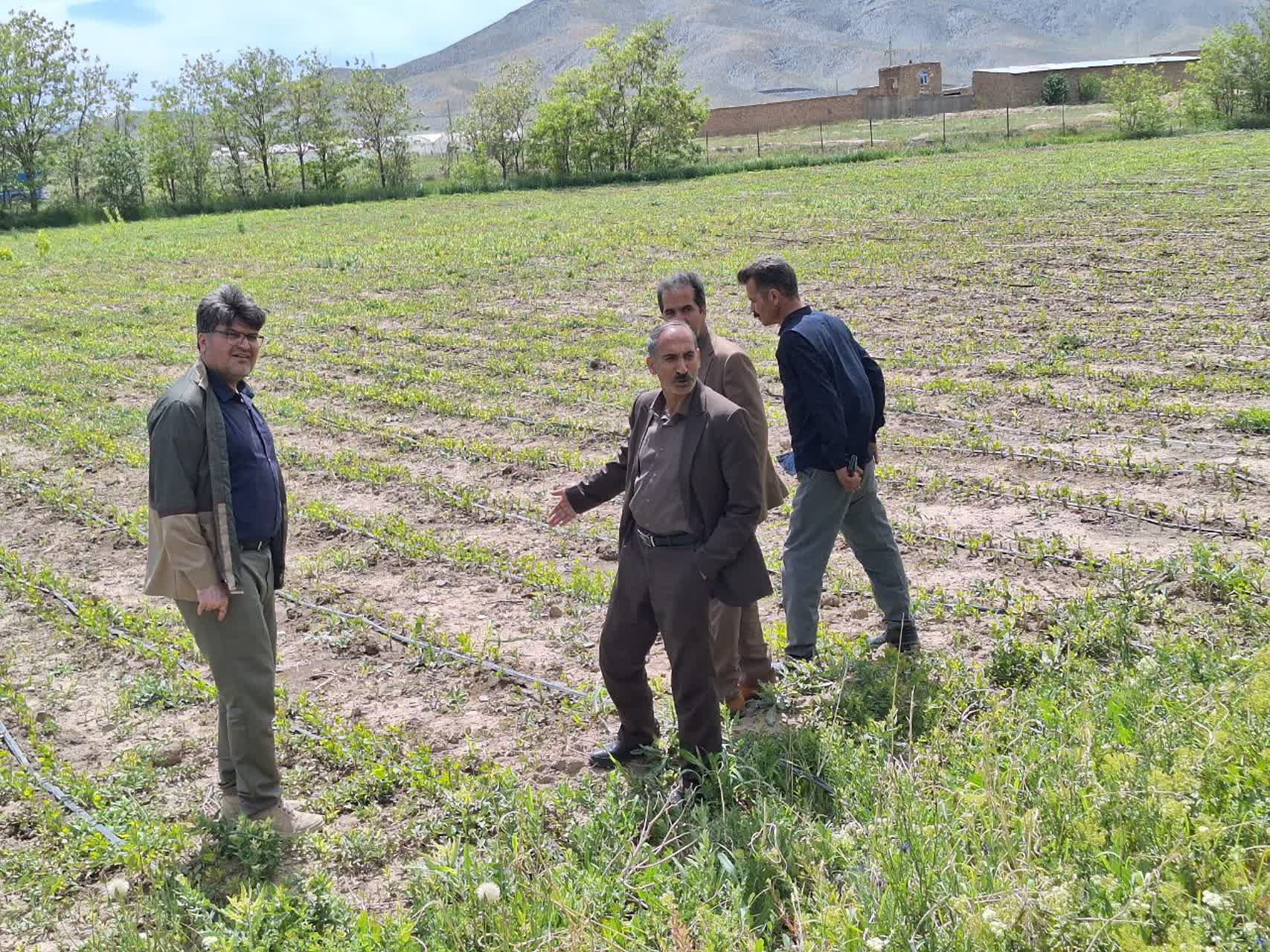 نقش نهالستان قدس ملایر در توسعه فضای سبز و حفظ منابع طبیعی /«خانه اطفا حریق» در روستای جوزان نقش نهالستان قدس ملایر در توسعه فضای سبز و حفظ منابع طبیعی /«خانه اطفا حریق» در روستای جوزان