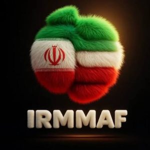 موفقیتی بزرگ در ورزش رزمی برای ملایر/ کسب مقام قهرمانی مسابقات حرفه‌ای و بین‌المللی MMA توسط رزمی‌کار ملایری