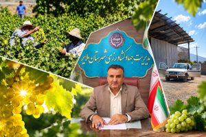 طرح فراز؛ راهی برای نجات باغات انگور ملایر و سوددهی بیشتر