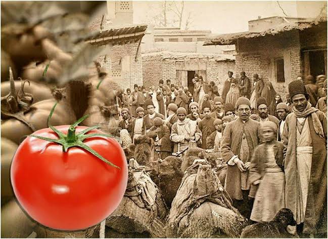 ارمنی بادمجان ارمنی بادمجان
